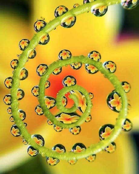 Seminario di Lavarone 2026 Geometrie d’identità